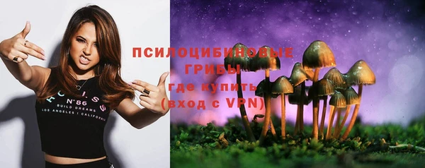 ALPHA PVP Вяземский