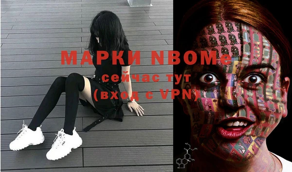 шишки Вязники