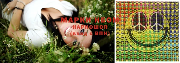 шишки Вязники