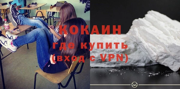 шишки Вязники