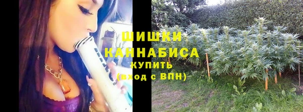 прущая мука Вязьма